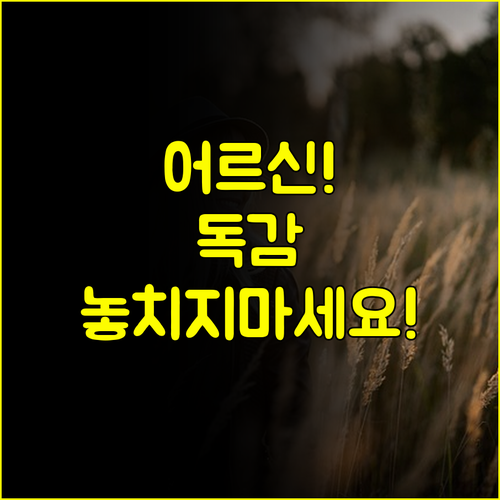 65세 이상 어르신 독감 예방접종 기간 총정리 #노인복지 #건강가이드