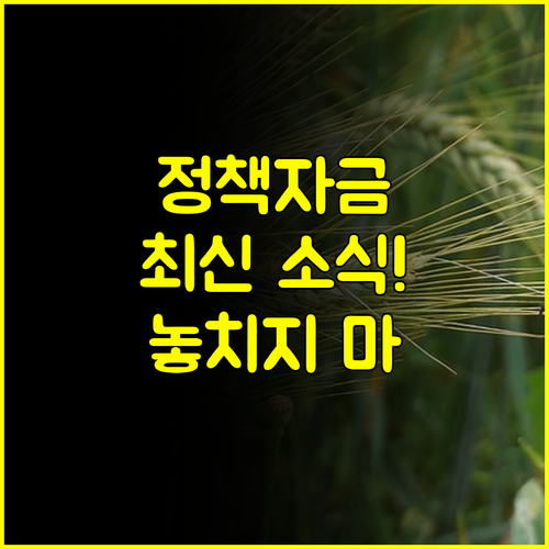2025년 3분기 소상공인 정책자금 지금 바로 신청하세요 #정책자금 #사업지원